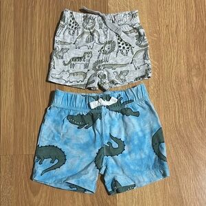 Animal Print Baby Shorts Set